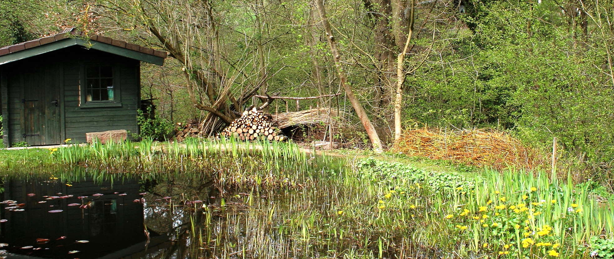 teich-hutte-fruhling-5955-b-web